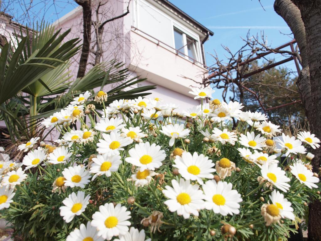 Apartments Zufic Штинян Екстер'єр фото